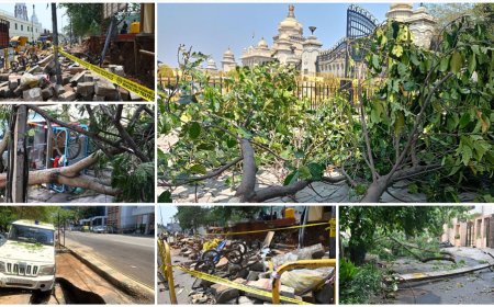 ಅಪಾಯದ ಮರಗಳನ್ನು ವೈಜ್ಞಾನಿಕವಾಗಿ ಗುರುತಿಸಲು ಗ್ರೇಟರ್‌ ಬೆಂಗಳೂರು ಪ್ರಾಧಿಕಾರ (ಜಿಬಿಎ) ಹೊಸ ತಂತ್ರಜ್ಞಾನ