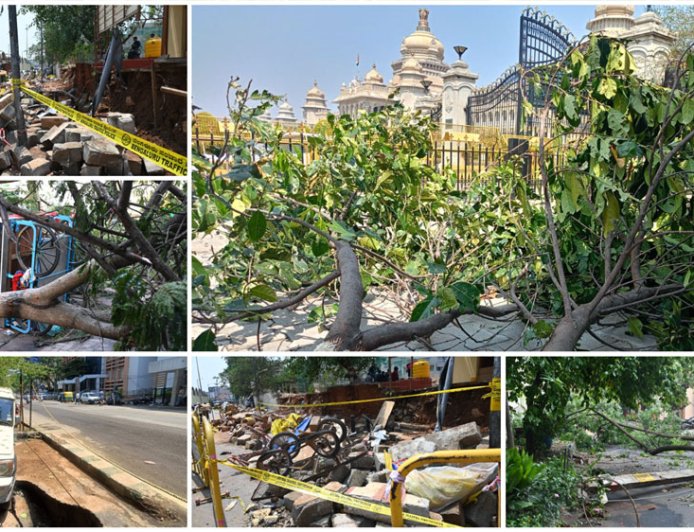 ಅಪಾಯದ ಮರಗಳನ್ನು ವೈಜ್ಞಾನಿಕವಾಗಿ ಗುರುತಿಸಲು ಗ್ರೇಟರ್‌ ಬೆಂಗಳೂರು ಪ್ರಾಧಿಕಾರ (ಜಿಬಿಎ) ಹೊಸ ತಂತ್ರಜ್ಞಾನ
