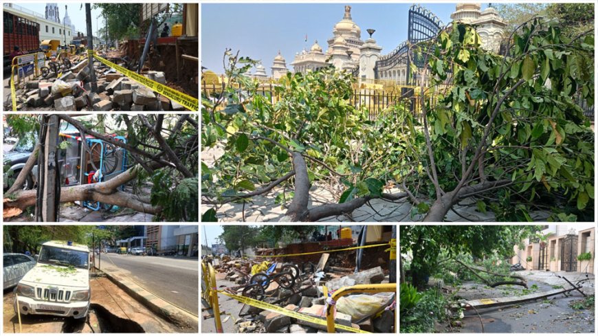 ಅಪಾಯದ ಮರಗಳನ್ನು ವೈಜ್ಞಾನಿಕವಾಗಿ ಗುರುತಿಸಲು ಗ್ರೇಟರ್‌ ಬೆಂಗಳೂರು ಪ್ರಾಧಿಕಾರ (ಜಿಬಿಎ) ಹೊಸ ತಂತ್ರಜ್ಞಾನ